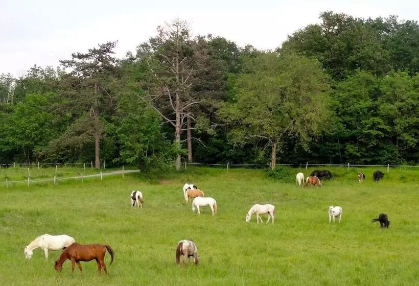田舎風ホテル Ranch Du Bel Air