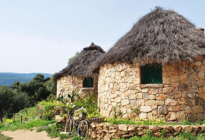 膳宿费 Essenza Sardegna