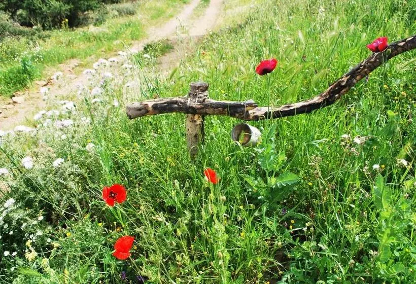 Majatalo Essenza Sardegna