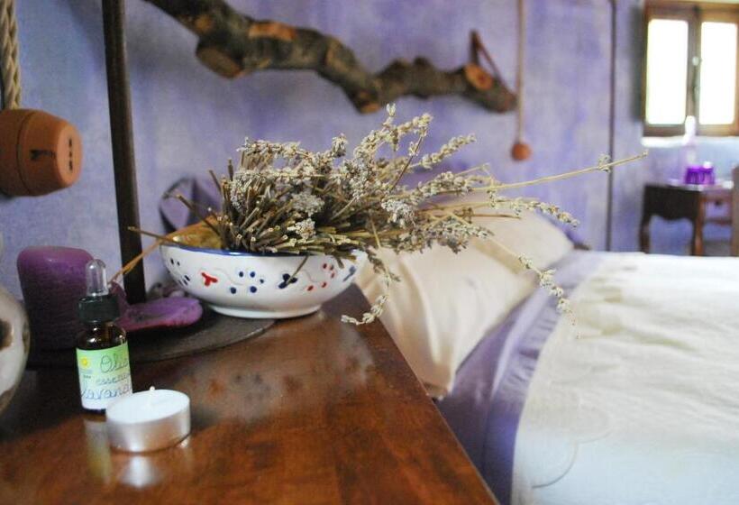 膳宿费 Essenza Sardegna