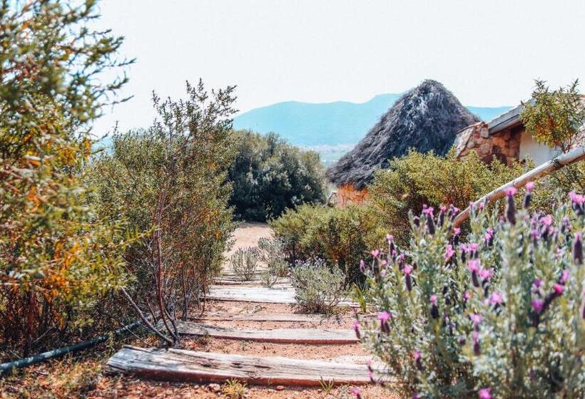 膳宿费 Essenza Sardegna