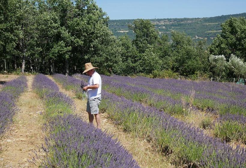 פנסיון Saint Quentin