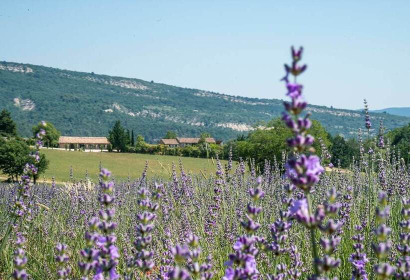 פנסיון Saint Quentin