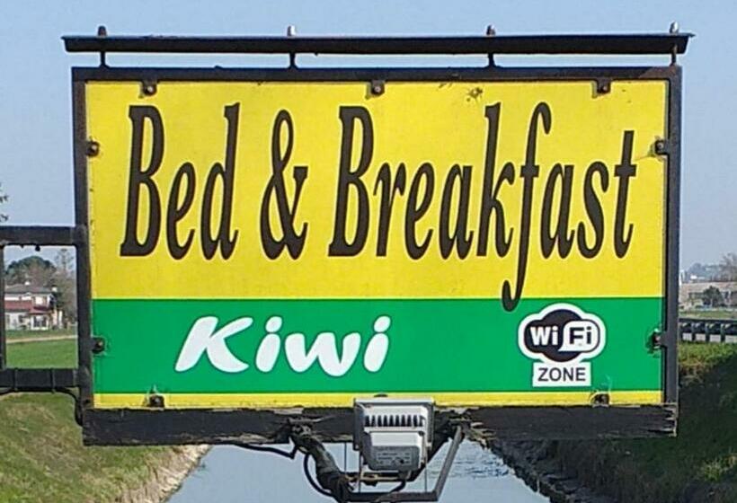 B&b Kiwi