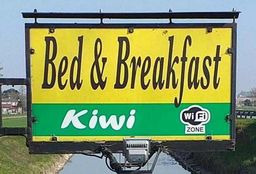 B&b Kiwi