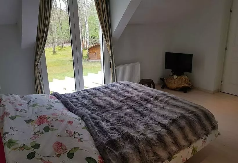B&b Victoria