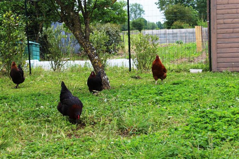 住宿加早餐 Flore Des Marais