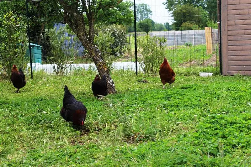 Aamiaismajoitus (B&B) Flore Des Marais