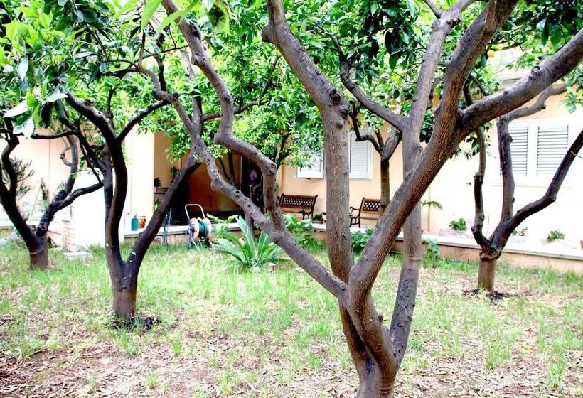 Bed And Breakfast L'aranceto