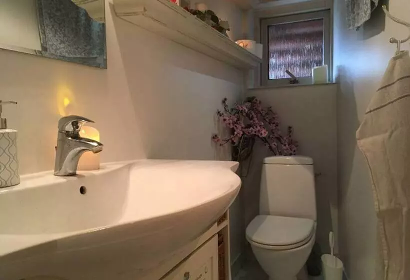 Aamiaismajoitus (B&B) Sovdejligt