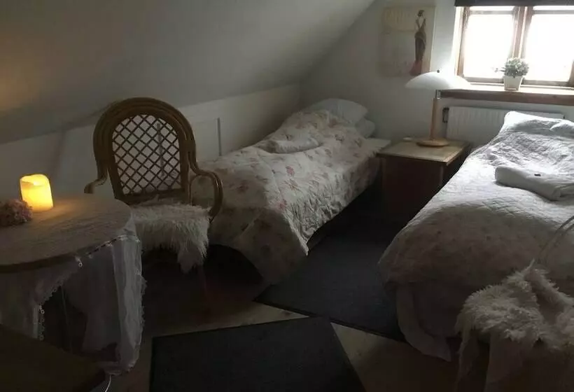 Aamiaismajoitus (B&B) Sovdejligt