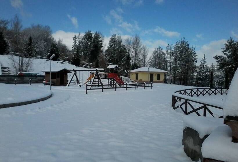 בית מלון כפרי Agriturismo I Tre Ulivi