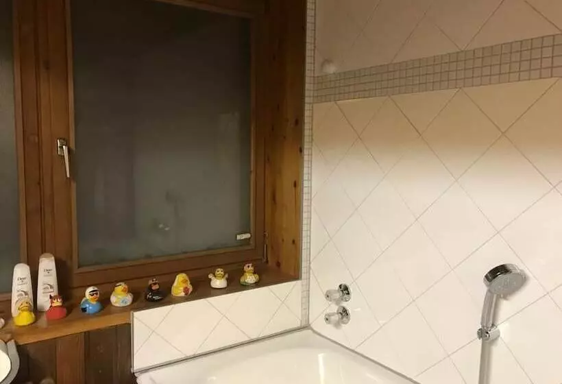 Hotelli Steinacher Hof