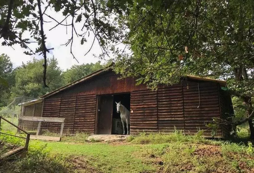 ペンション Chambre D Hôtes Du Moulin De La Passere