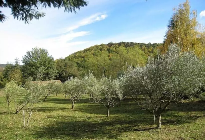 ペンション Chambre D Hôtes Du Moulin De La Passere