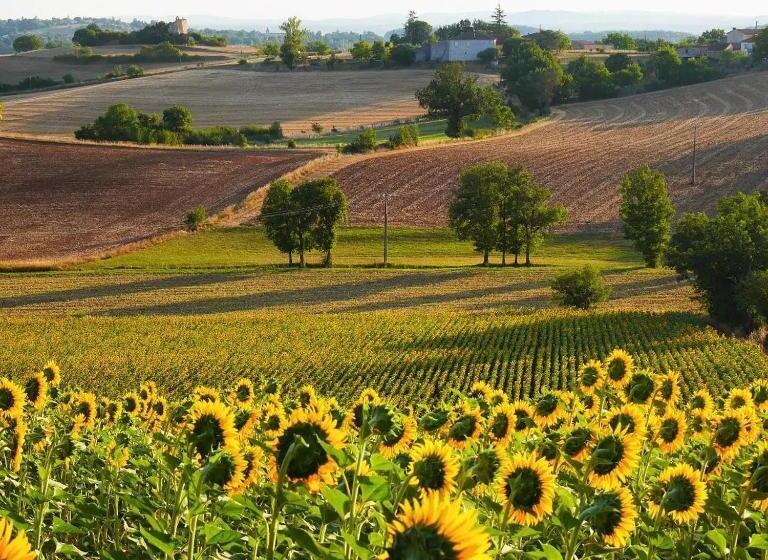 膳宿费 La Bastide