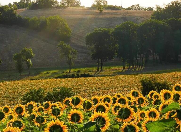 膳宿费 La Bastide