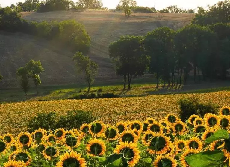 ペンション La Bastide