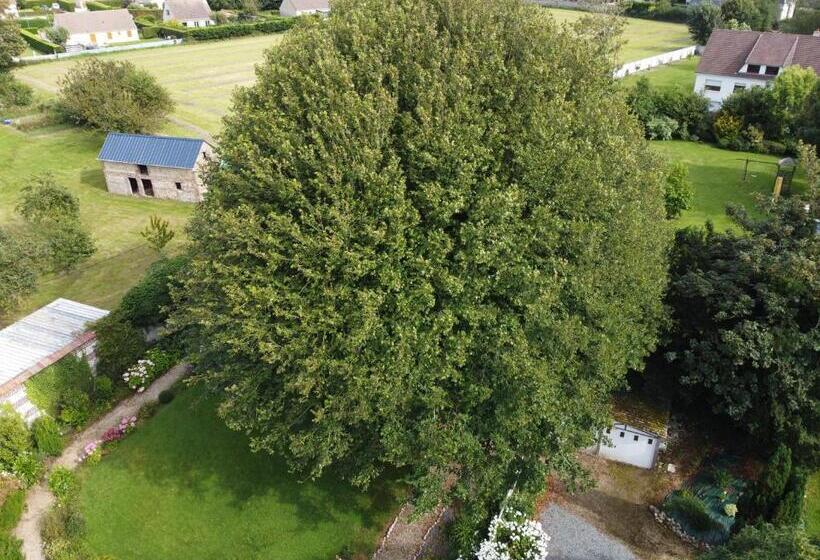 پانسیون La Nouvelle Criqueboise