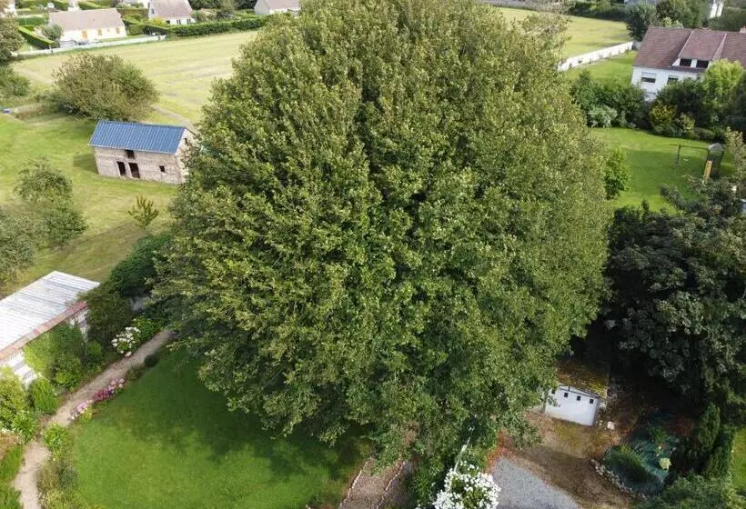 Majatalo La Nouvelle Criqueboise