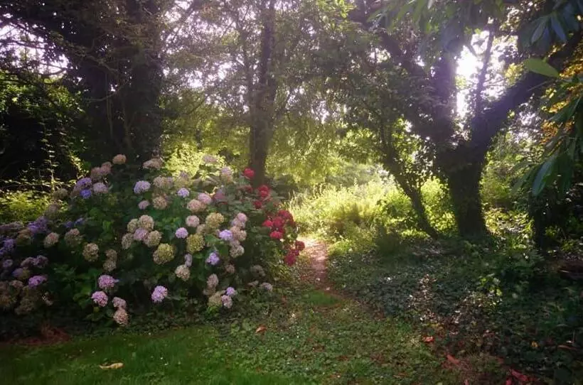 Majatalo La Nouvelle Criqueboise