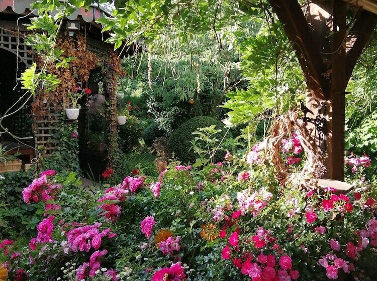 Bed and Breakfast Le Frêne Fringant