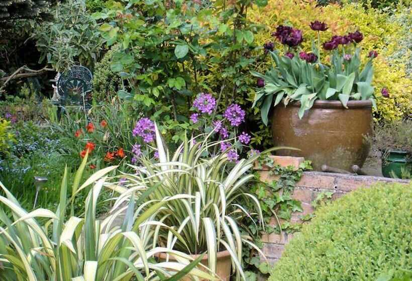 Bed and Breakfast Le Frêne Fringant