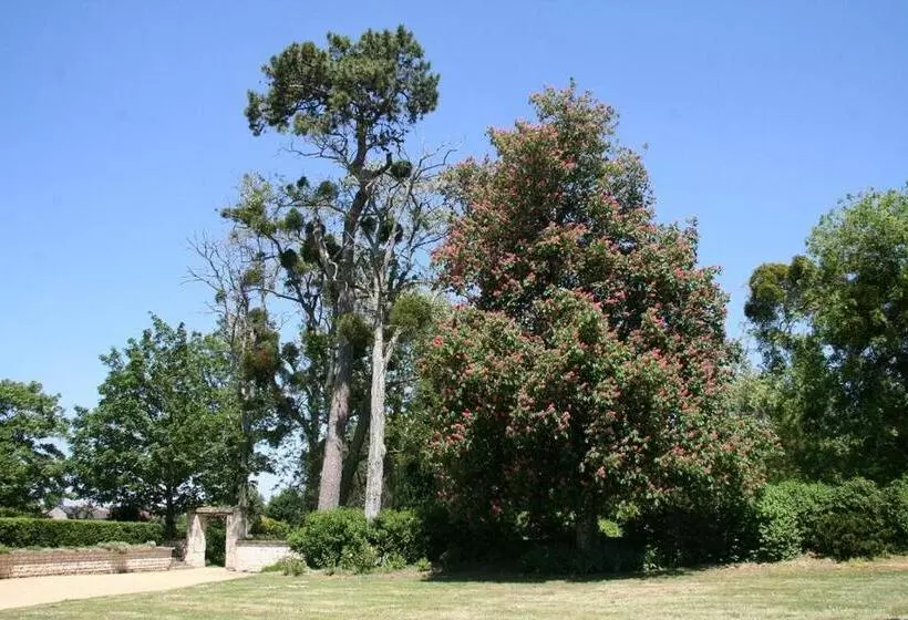 Château De Bournand B&b