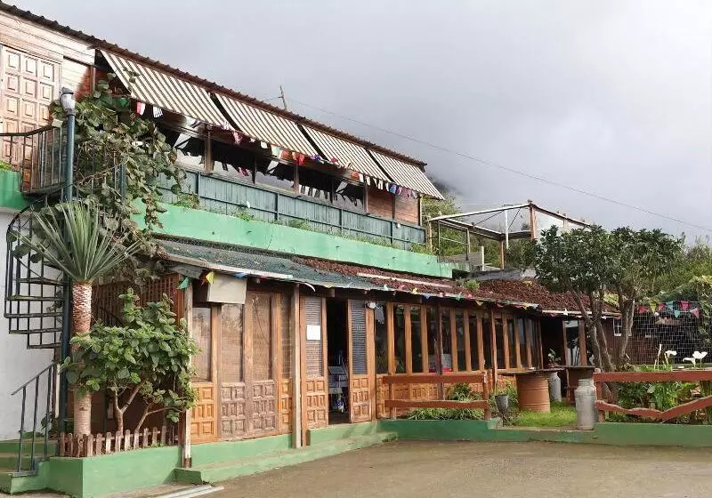 Hostal Mamio Verde   Hostel