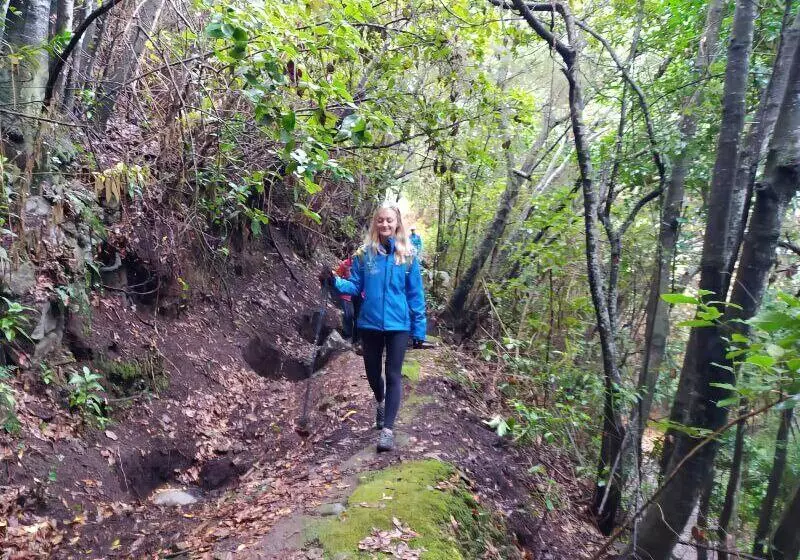 Hostal Mamio Verde   Hostel