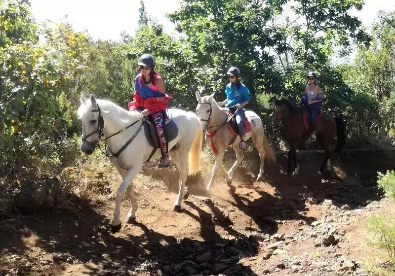 Hostal Mamio Verde   Hostel