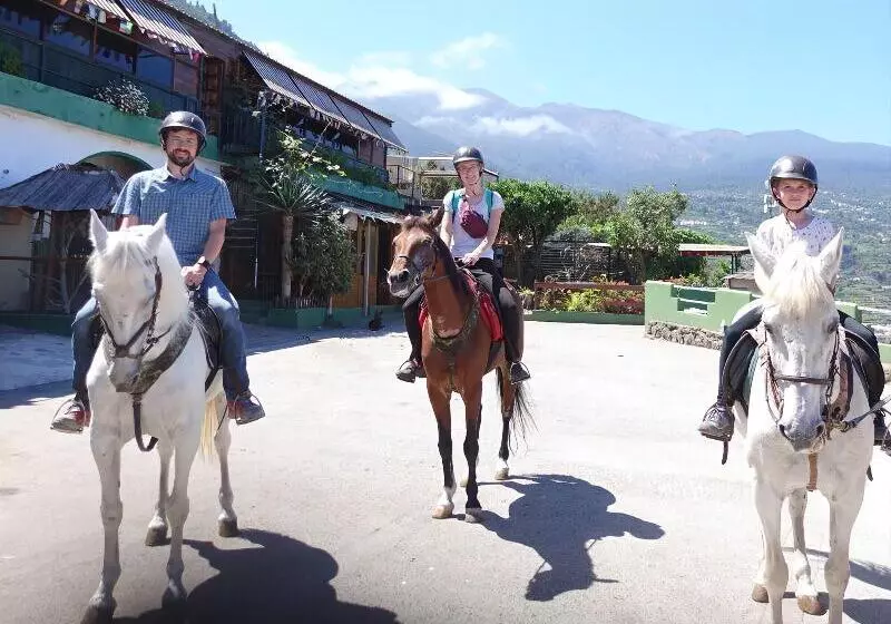 Hostal Mamio Verde   Hostel