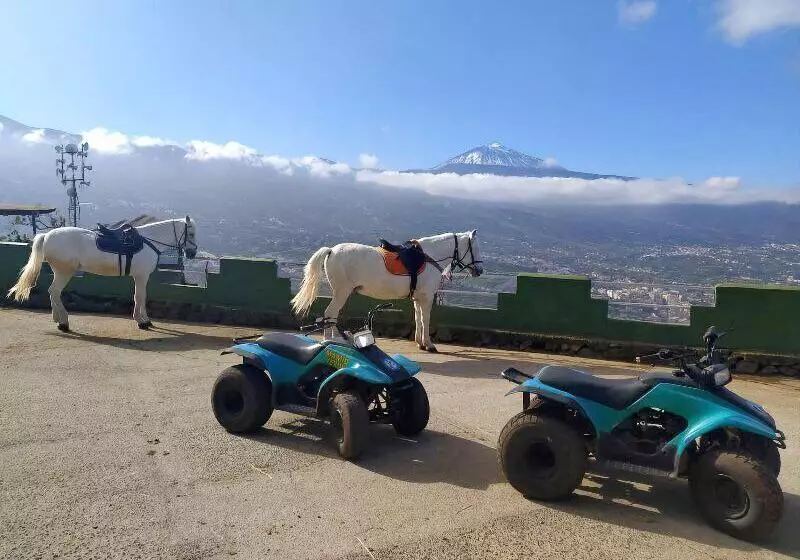 Hostal Mamio Verde   Hostel