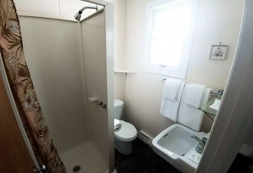 Hostelli The Shawville