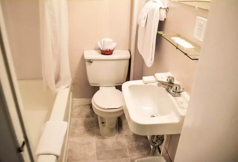 Hostelli The Shawville