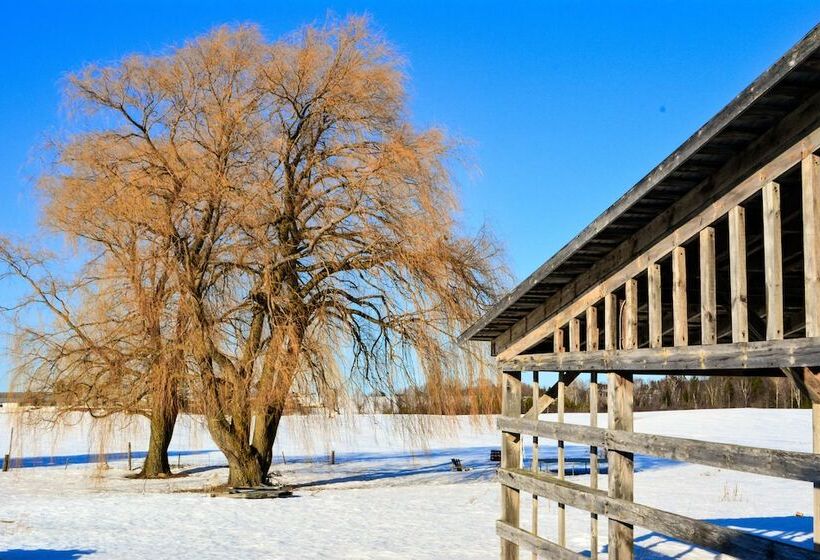 여관 The Shawville