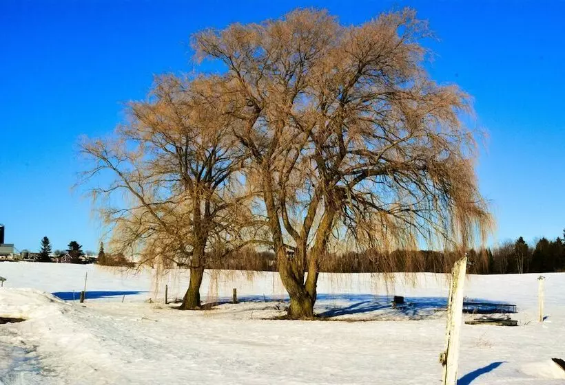 Hostelli The Shawville