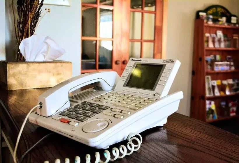 Hostelli The Shawville