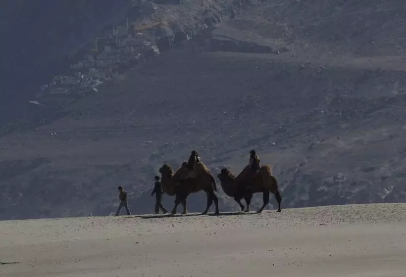 Hotel Chamba Camp Diskit