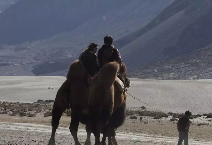 Hotel Chamba Camp Diskit