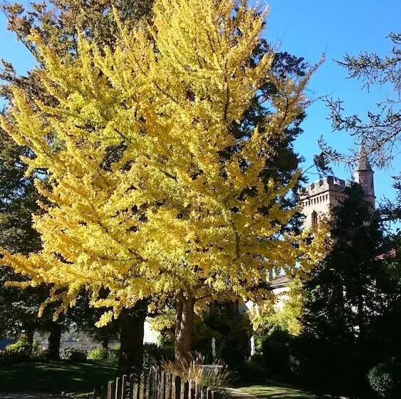 ホテル Château De Creissels