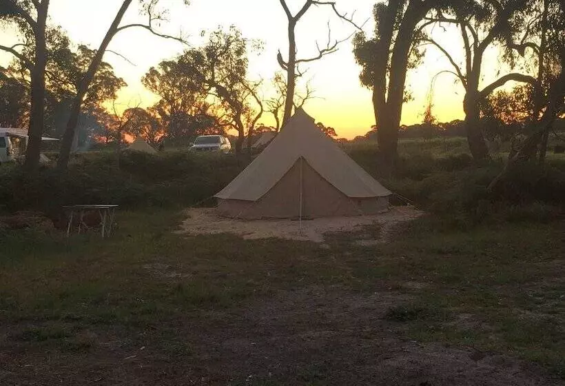 Hotelli Coonawarra Bush Holiday Park