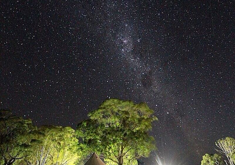 فندق Coonawarra Bush Holiday Park