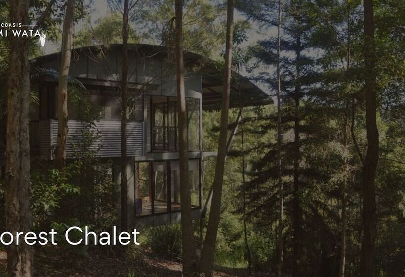 ホテル Ecoasis Wellness Sanctuary