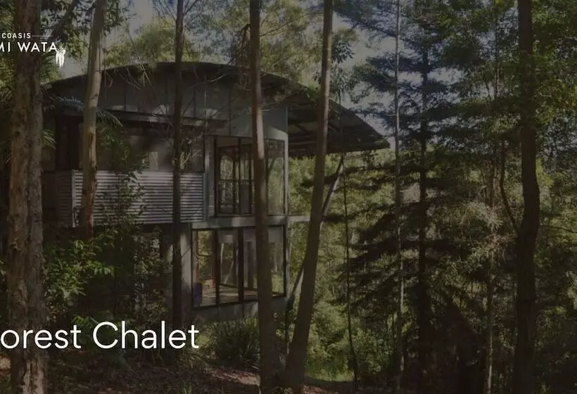 Hotelli Ecoasis Wellness Sanctuary