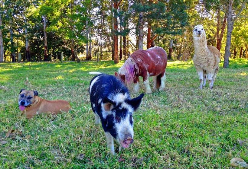 בית מלון כפרי Kings Creek Retreat