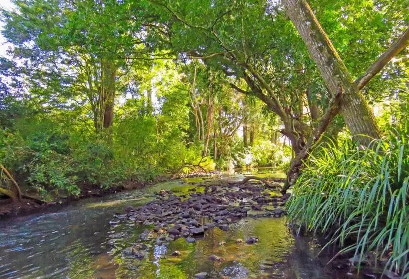 田舎風ホテル Kings Creek Retreat