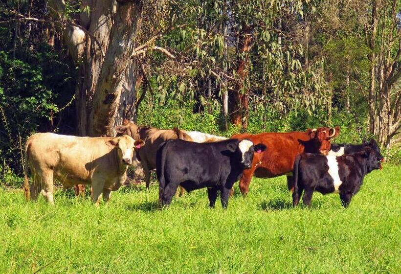 בית מלון כפרי Kings Creek Retreat