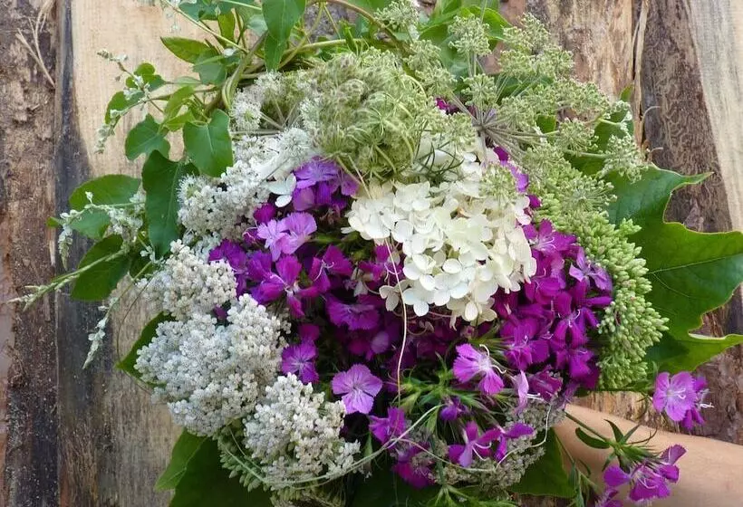 Hotelli Schloss Weißenburg