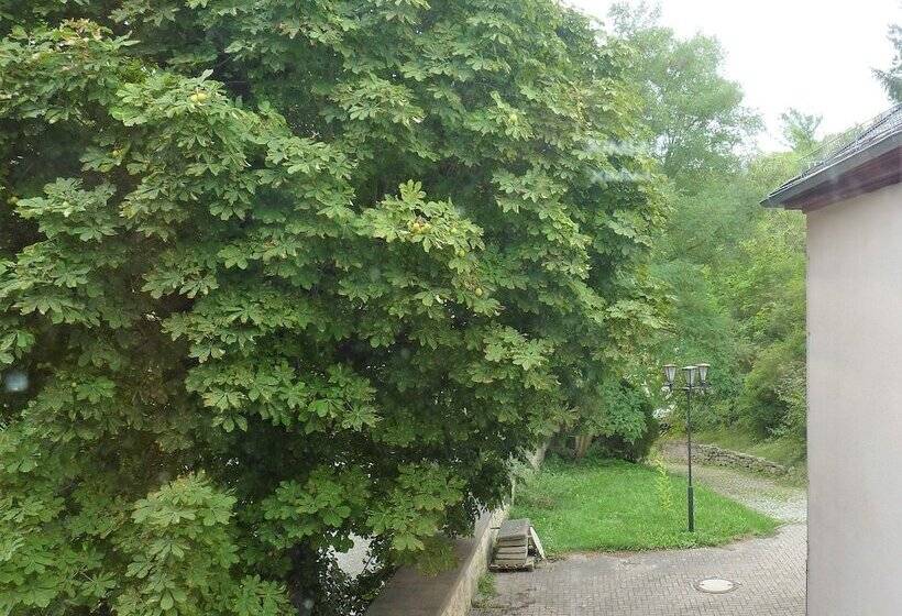 Отель Schloss Weißenburg